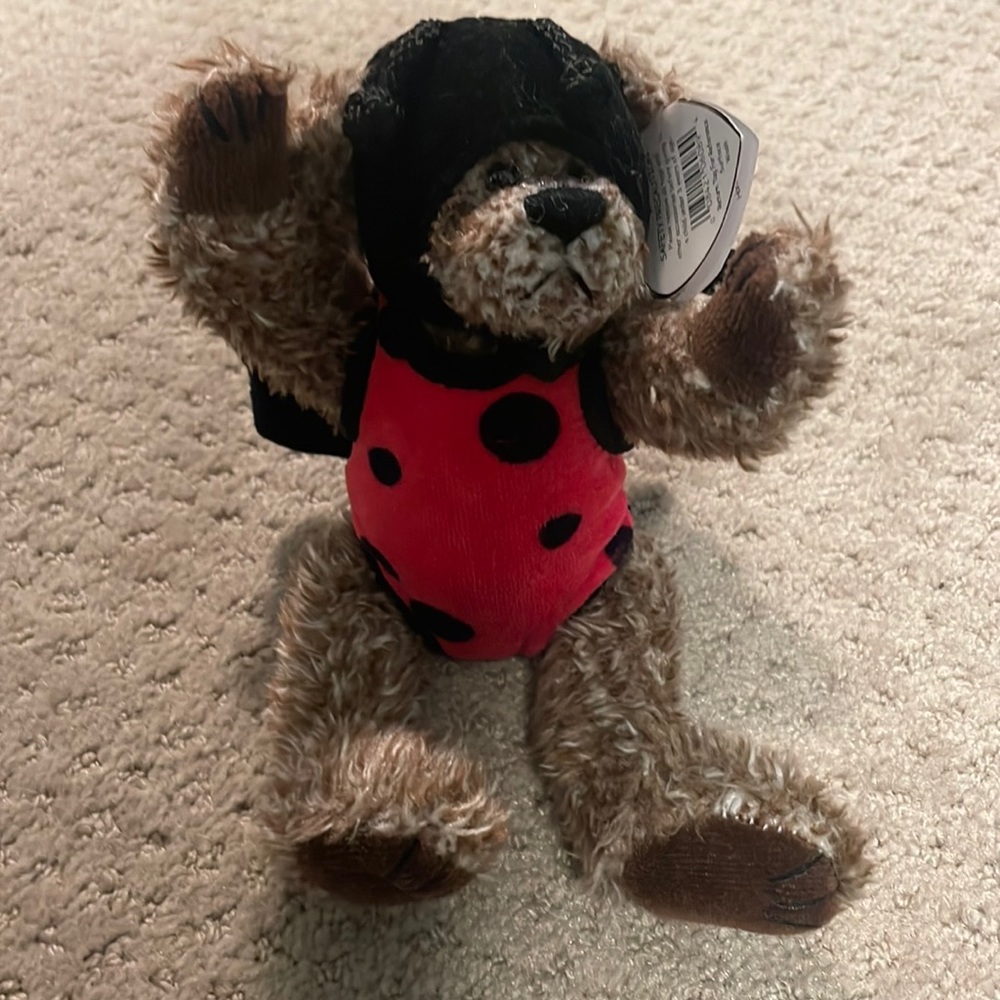 This is a tie bear with ladybug suit